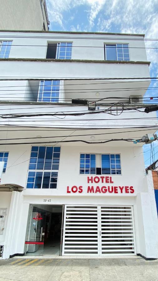 Hotel Los Magueyes Bucaramanga Eksteriør billede